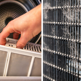 photo of a person taking a dryer vent out of dryer and the back coils of a refrigerator with dust